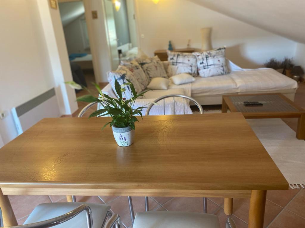 Casa Fumica Apartment Palit Екстер'єр фото